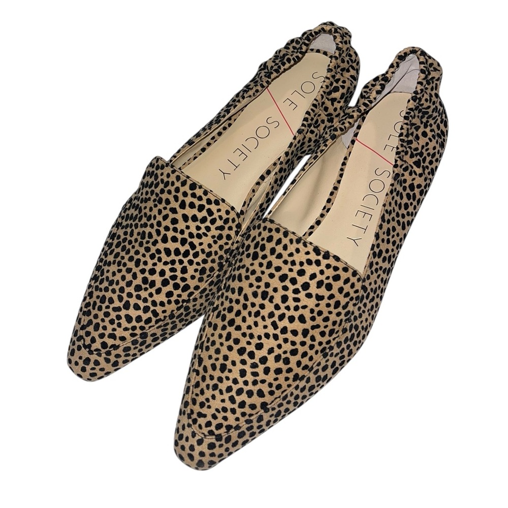 🌟NWOT🌟 Sole Society Breck Pointy Toe Flat - Size 9